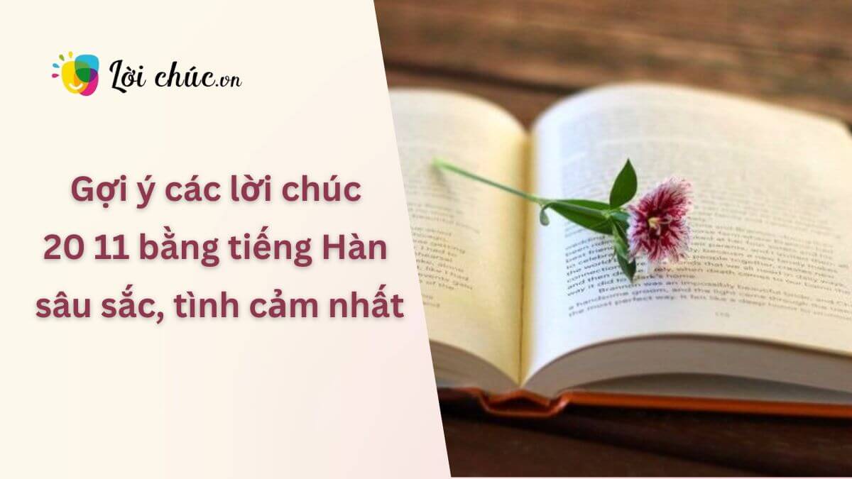 Lời chúc 20 11 bằng tiếng Hàn